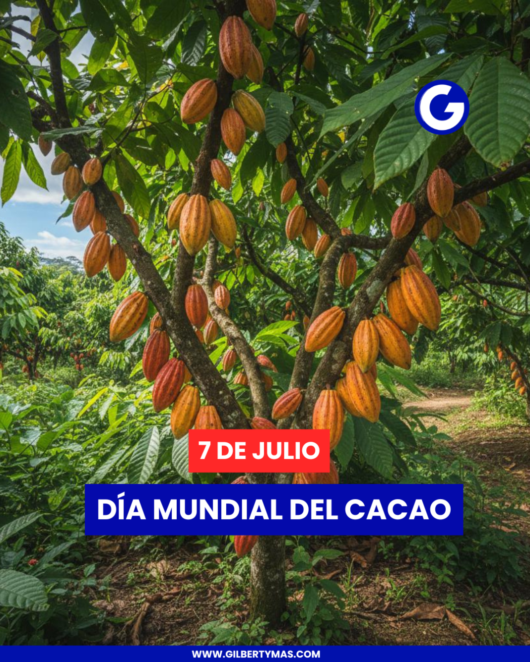 7 de julio; Día Mundial del Cacao