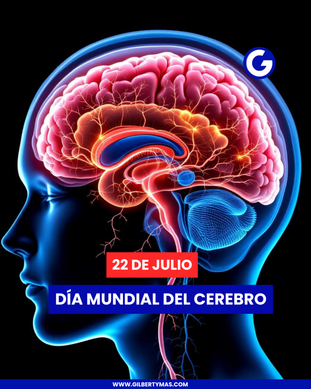 22 de julio; Día Mundial del Cerebro