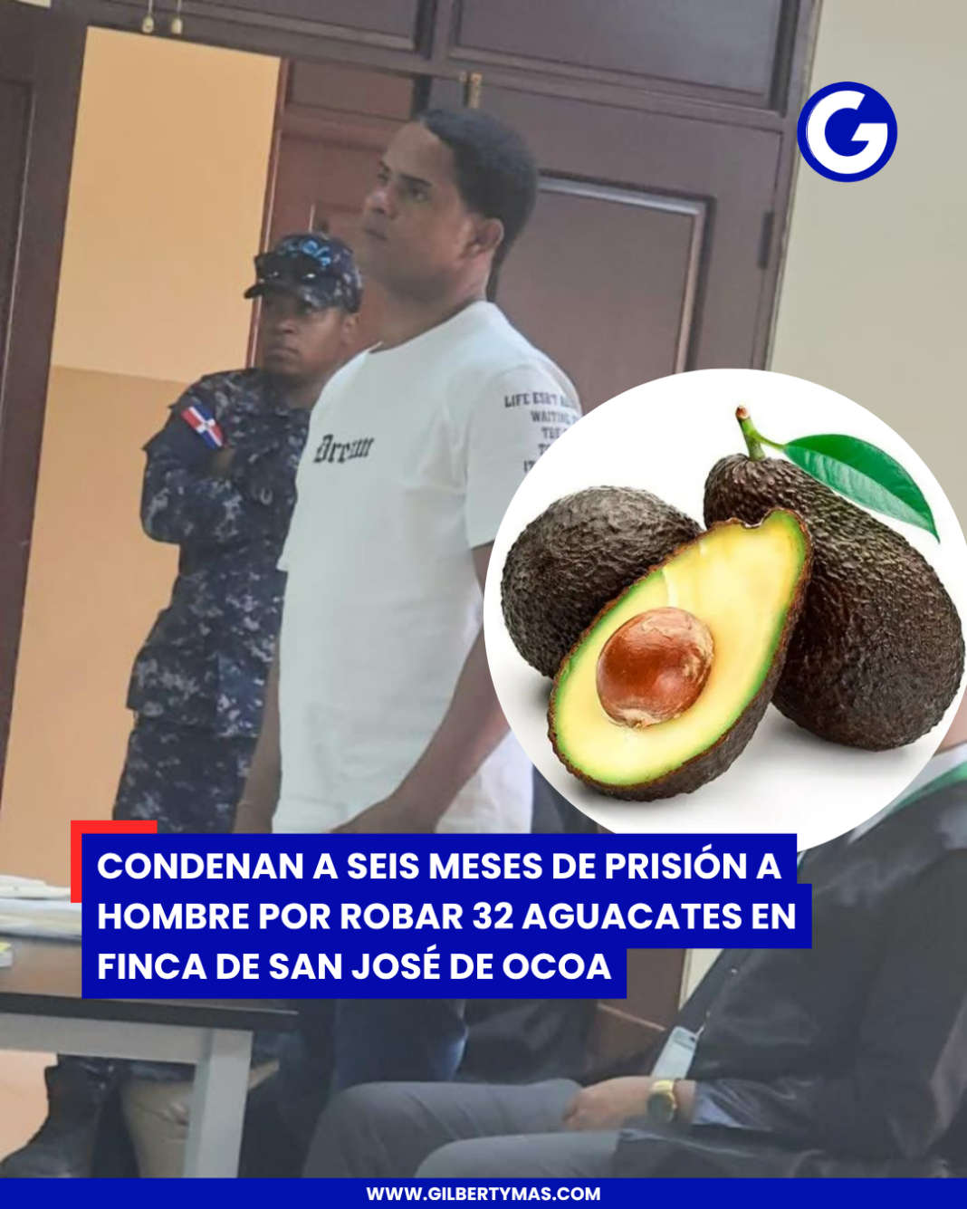 Condenan a seis meses de prisión a hombre por robar 32 aguacates en finca de San José de Ocoa
